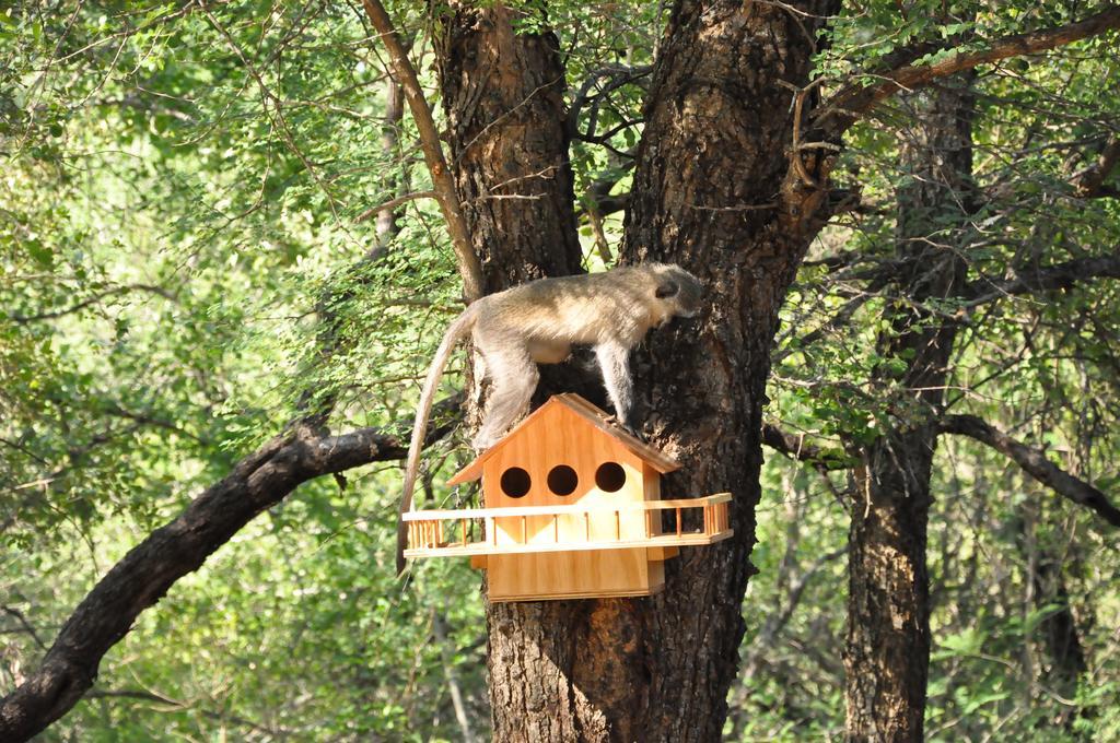 Treetops Marloth Park Esterno foto