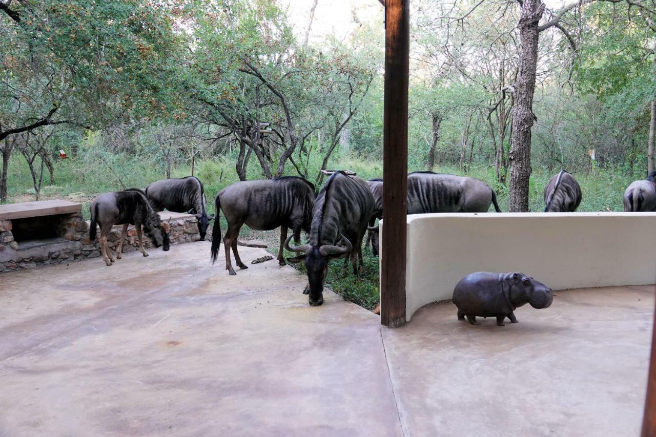 Treetops Marloth Park Esterno foto